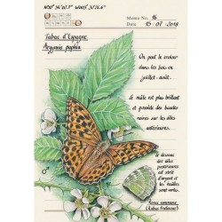 Forêt secrète - Carnet d'une illustratrice