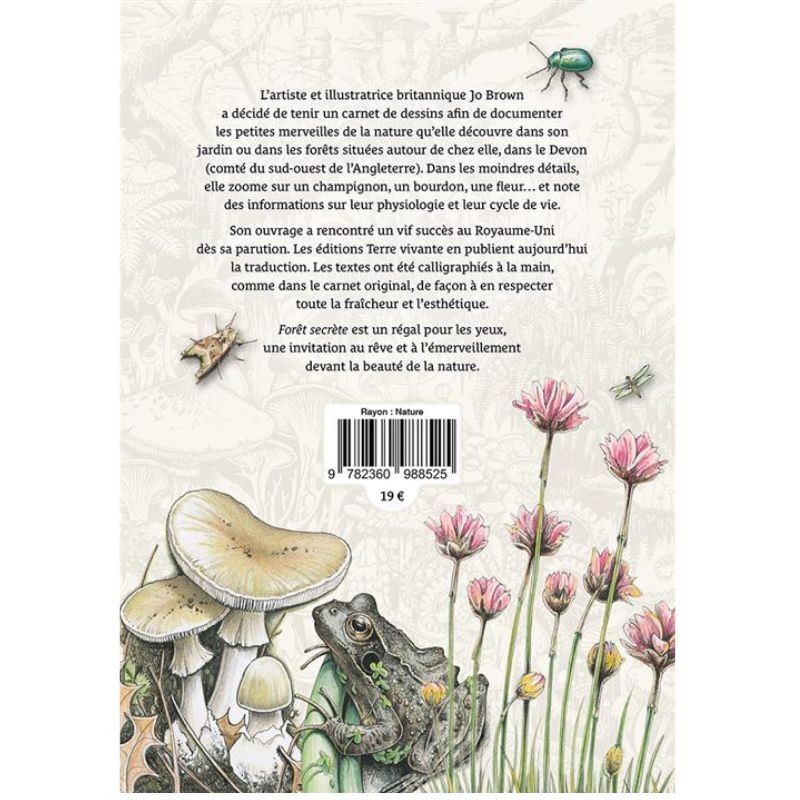 Forêt secrète - Carnet d'une illustratrice