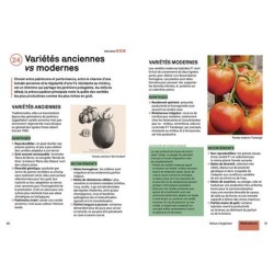 Produire des légumes en abondance