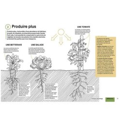 Produire des légumes en abondance