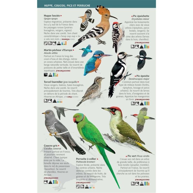 Oiseaux des jardins, des villes et des campagnes - Les miniguides nature