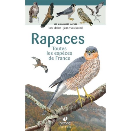 Rapaces - Les miniguides nature