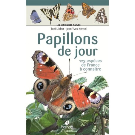 Papillons de jour - Les miniguides nature
