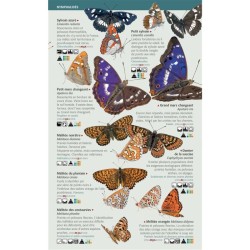 Papillons de jour - 123 espèces de France à connaître - Les miniguides nature