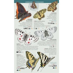 Papillons de jour - 123 espèces de France à connaître - Les miniguides nature
