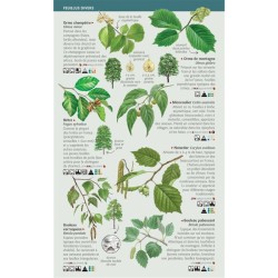 Arbres - 97 espèces de France à connaître- Les miniguides nature
