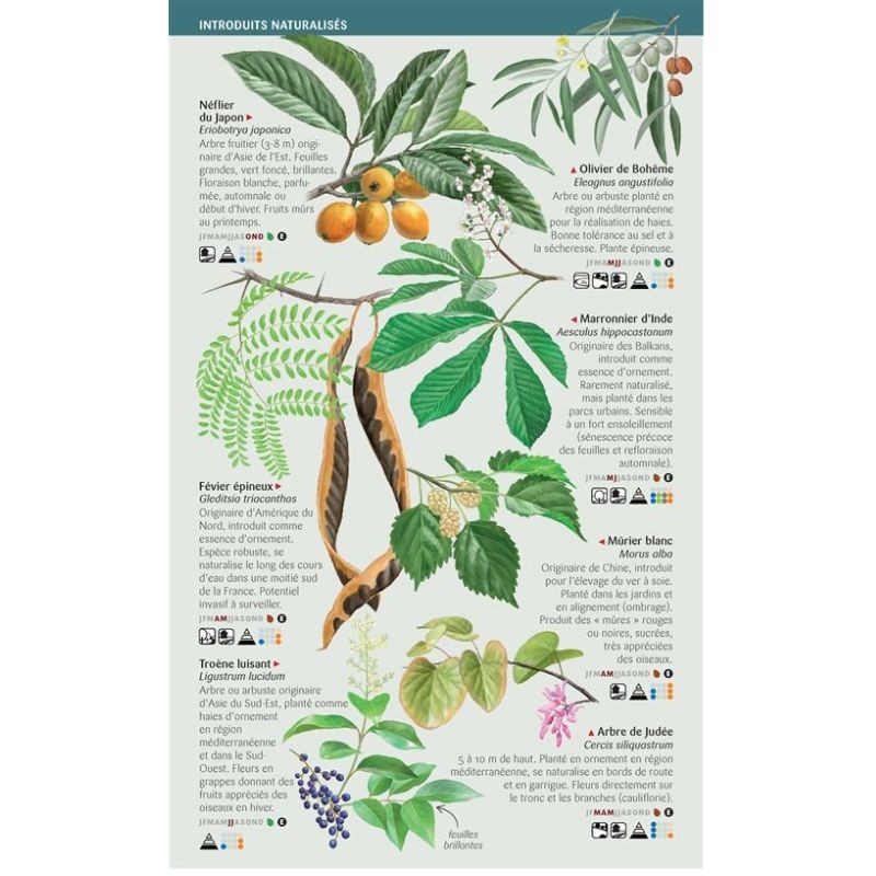 Arbres - 97 espèces de France à connaître- Les miniguides nature