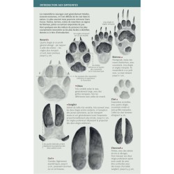 Grands mammifères - Toutes les espèces de France - Les miniguides nature