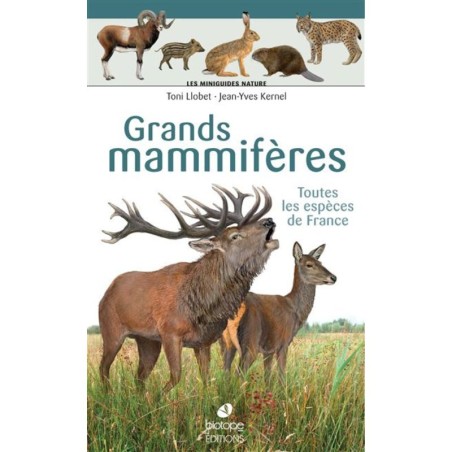 Grands mammifères - Les miniguides nature