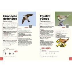 Reconnaître & retenir les chants d'oiseaux - La méthode en 5 étapes - 85 espèces et 180 chants