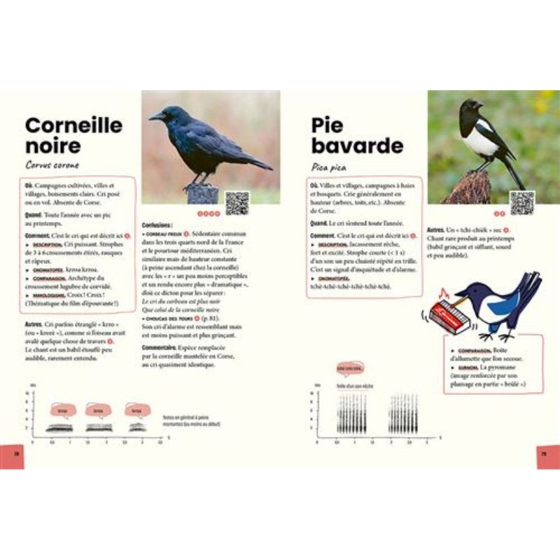Reconnaître & retenir les chants d'oiseaux - La méthode en 5 étapes - 85 espèces et 180 chants