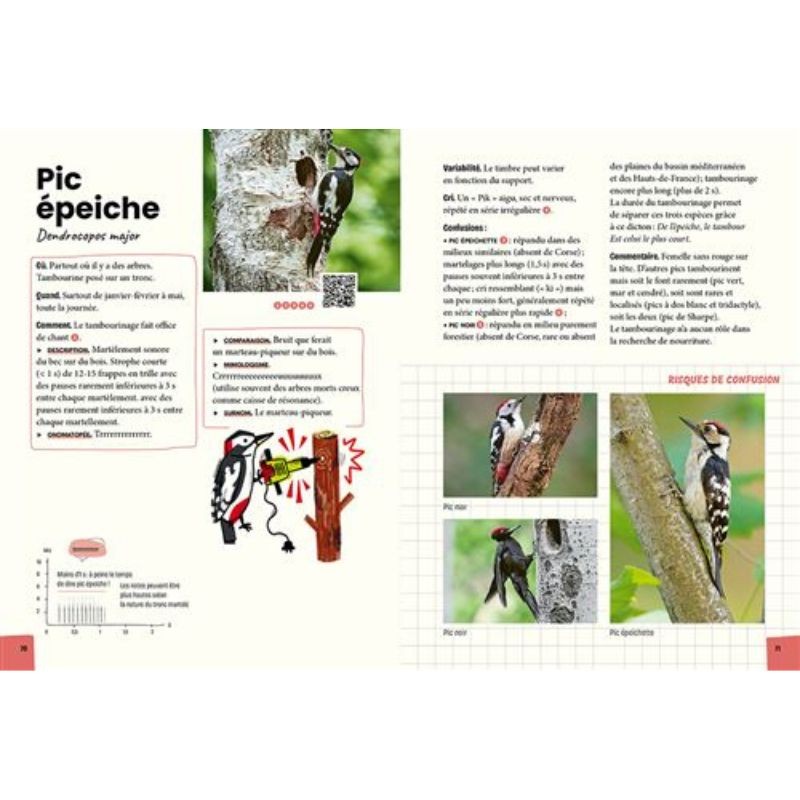 Reconnaître & retenir les chants d'oiseaux - La méthode en 5 étapes - 85 espèces et 180 chants