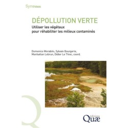 Dépollution verte - Utiliser les végétaux pour réhabiliter les milieux contaminés