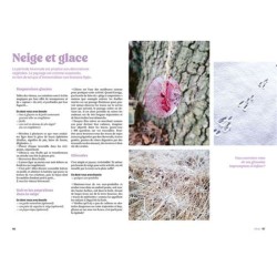 L'appel de la forêt - 1 an d'activités avec les enfants pour se reconnecter à la nature - Anti-gaspi