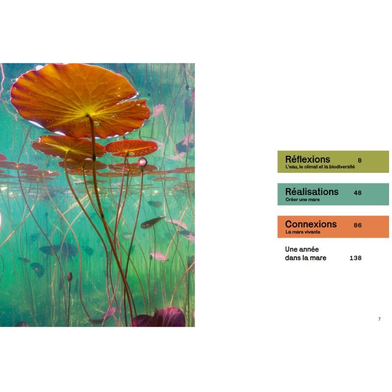 Créer et aménager une mare - Techniques et pratiques - Palettes et solutions végétales - Esthetique et vivante