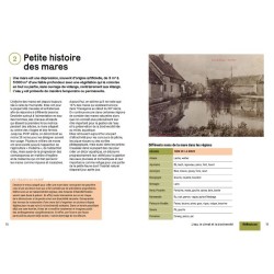 Créer et aménager une mare - Techniques et pratiques - Palettes et solutions végétales - Esthetique et vivante