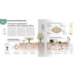 La biodiversité en infographies
