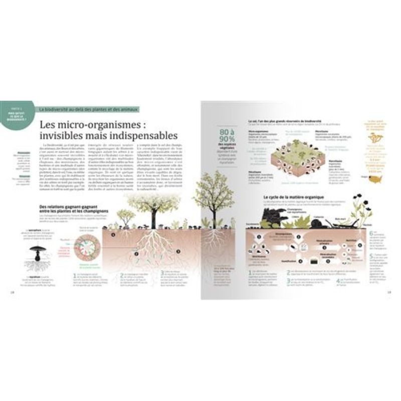 La biodiversité en infographies