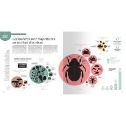 La biodiversité en infographies
