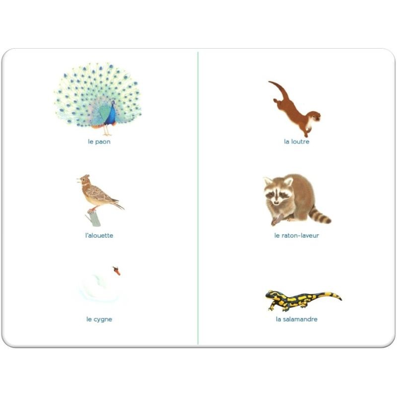 Mon imagier des animaux - Tout-petit Montessori