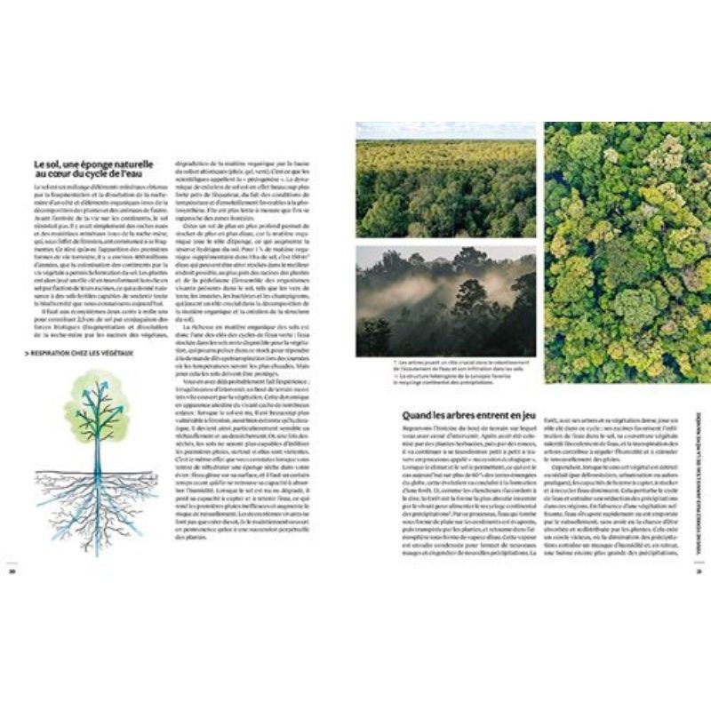 Cultiver l'eau douce - Du jardin de pluie à l'hydrologie régénérative, des solutions concrètes pour régénérer nos écosystèmes