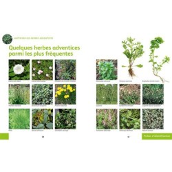 Désherber BIO - Les solutions zéro phyto pour jardins, potagers, cours, allées... - Anti-gaspi