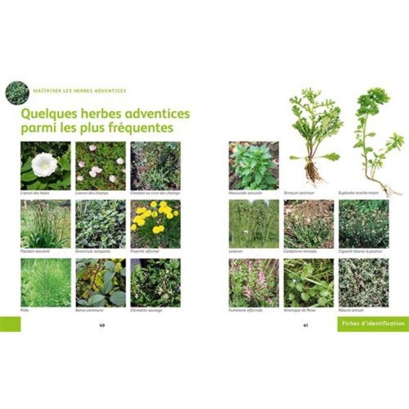 Désherber BIO - Les solutions zéro phyto pour jardins, potagers, cours, allées... - Anti-gaspi
