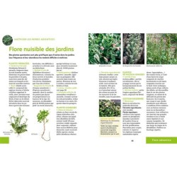 Désherber BIO - Les solutions zéro phyto pour jardins, potagers, cours, allées... - Anti-gaspi