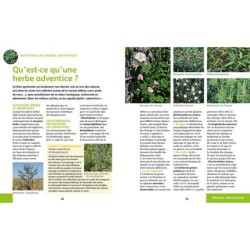 Désherber BIO - Les solutions zéro phyto pour jardins, potagers, cours, allées... - Anti-gaspi