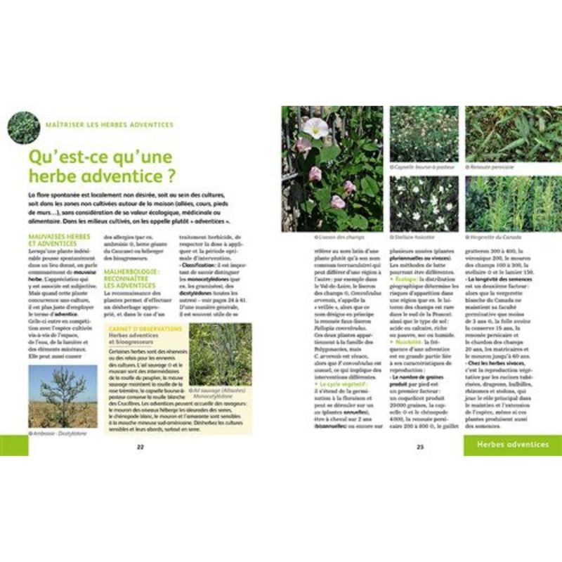 Désherber BIO - Les solutions zéro phyto pour jardins, potagers, cours, allées... - Anti-gaspi