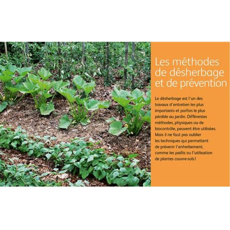 Désherber BIO - Les solutions zéro phyto pour jardins, potagers, cours, allées... - Anti-gaspi