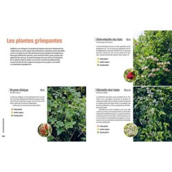 Créer un beau jardin-refuge pour les oiseaux