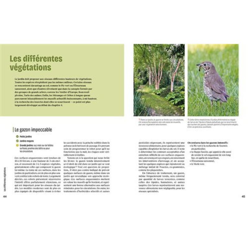 Créer un beau jardin-refuge pour les oiseaux