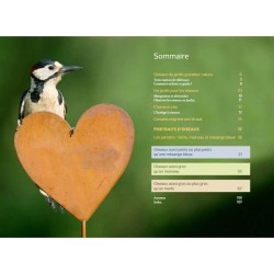 Reconnaître facilement les oiseaux du jardin - Photos grandeur nature - Anti-gaspi