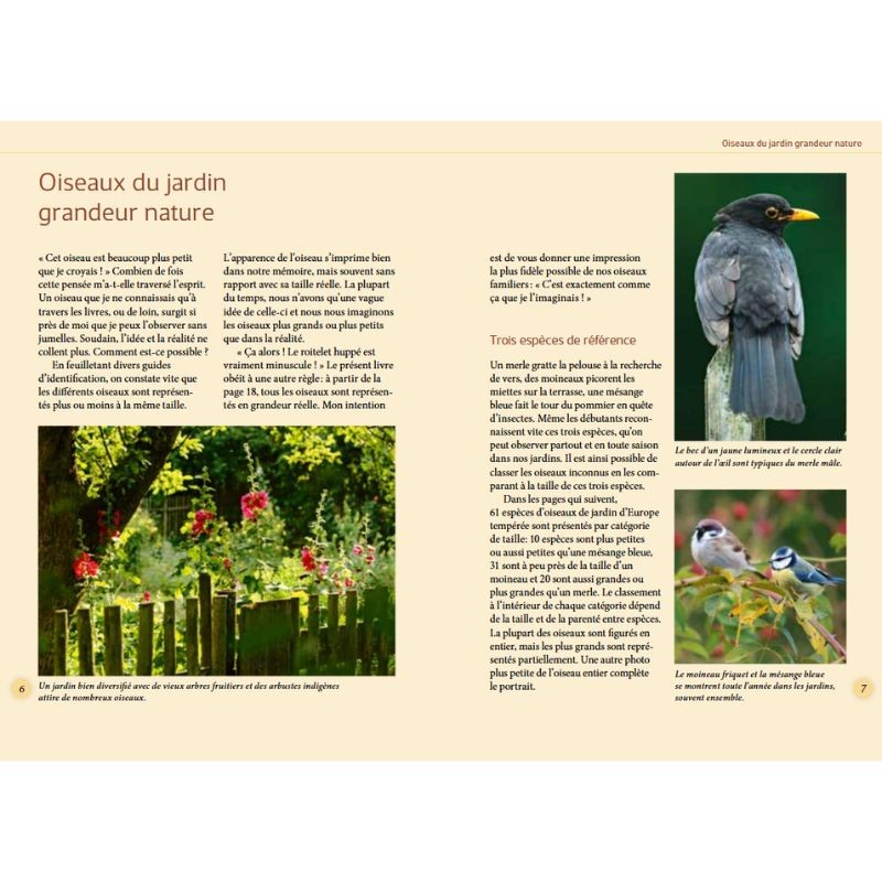 Reconnaître facilement les oiseaux du jardin - Photos grandeur nature - Anti-gaspi