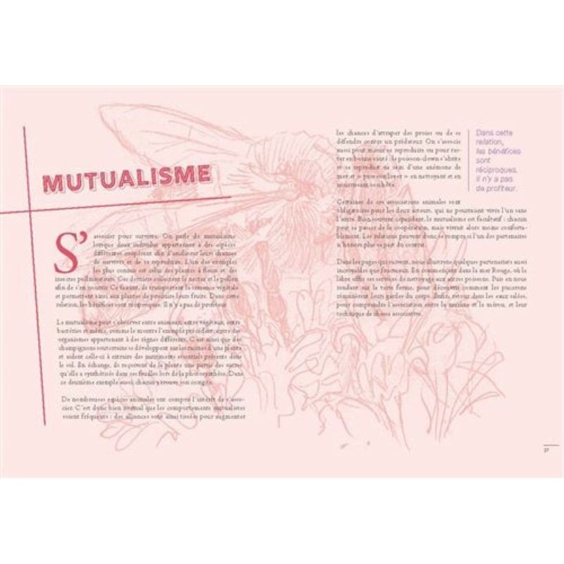 Un Tanguy chez les hyènes - 30 comportements surprenants des animaux