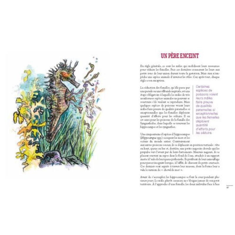 Un Tanguy chez les hyènes - 30 comportements surprenants des animaux