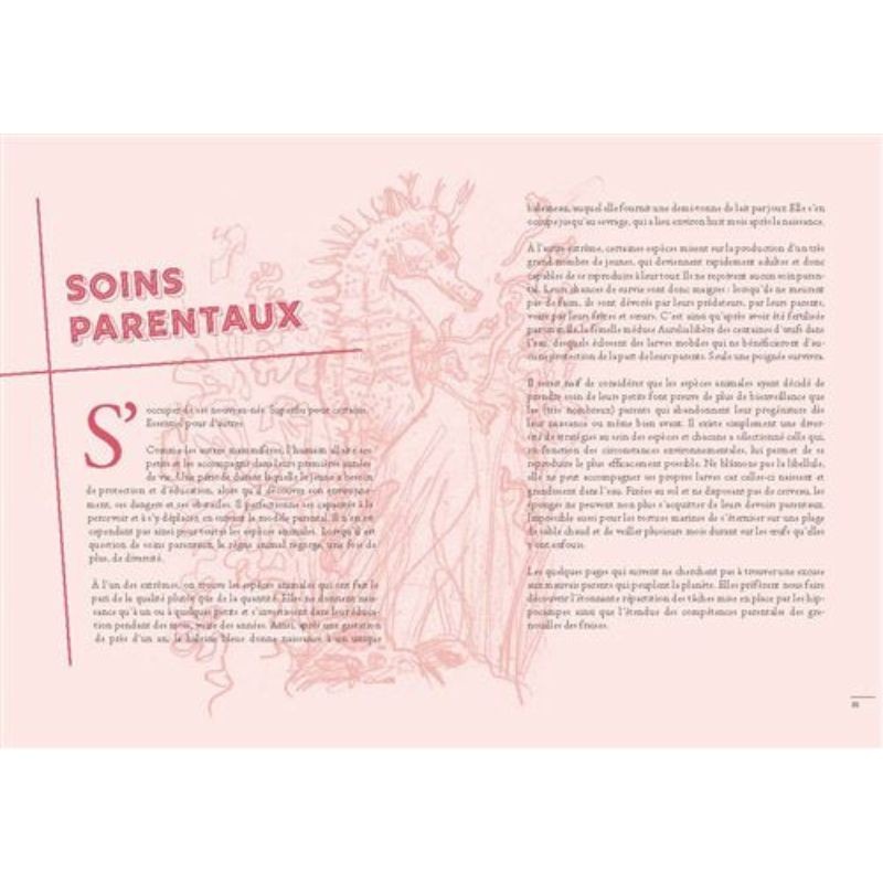 Un Tanguy chez les hyènes - 30 comportements surprenants des animaux