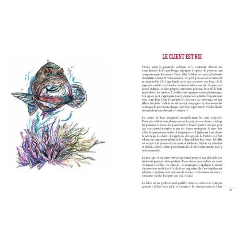 Un Tanguy chez les hyènes - 30 comportements surprenants des animaux