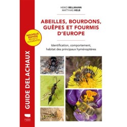 Abeilles, bourdons, guêpes et fourmis d'Europe - Identification, comportement, habitat des principaux hyménoptères