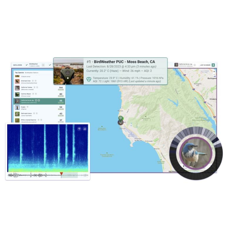 BirdWeather PUC - Détecteur chants d'oiseaux portable