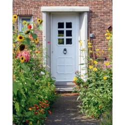 Manuel pratique du jardin éponge