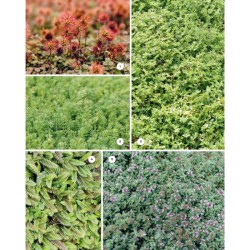 Manuel pratique du jardin éponge