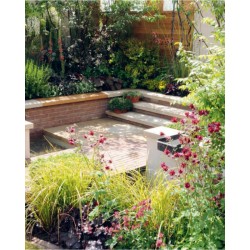 Manuel pratique du jardin éponge