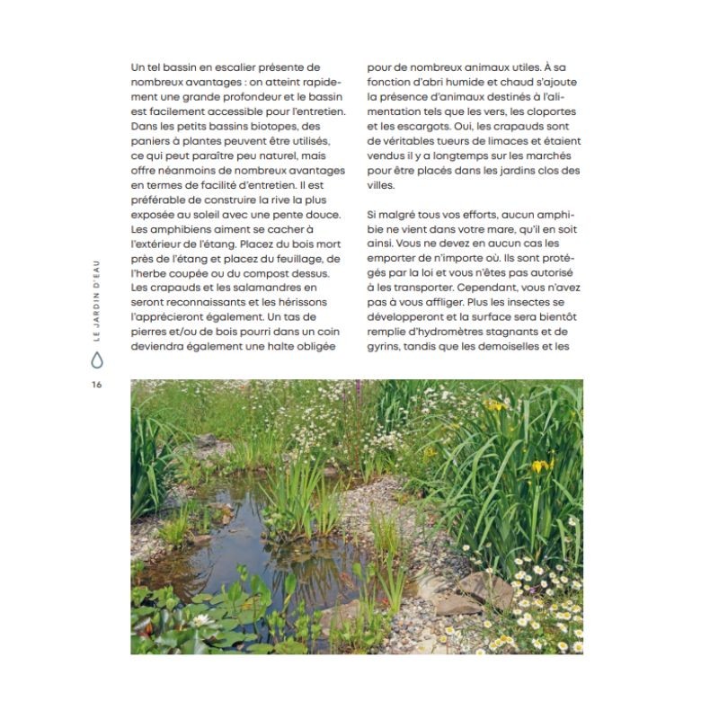 Manuel pratique du jardin d’eau