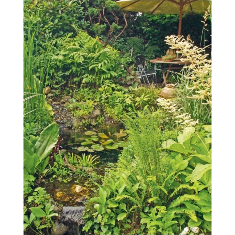 Manuel pratique du jardin d’eau