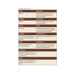 Biografie van de steenuil - Godin van de nacht