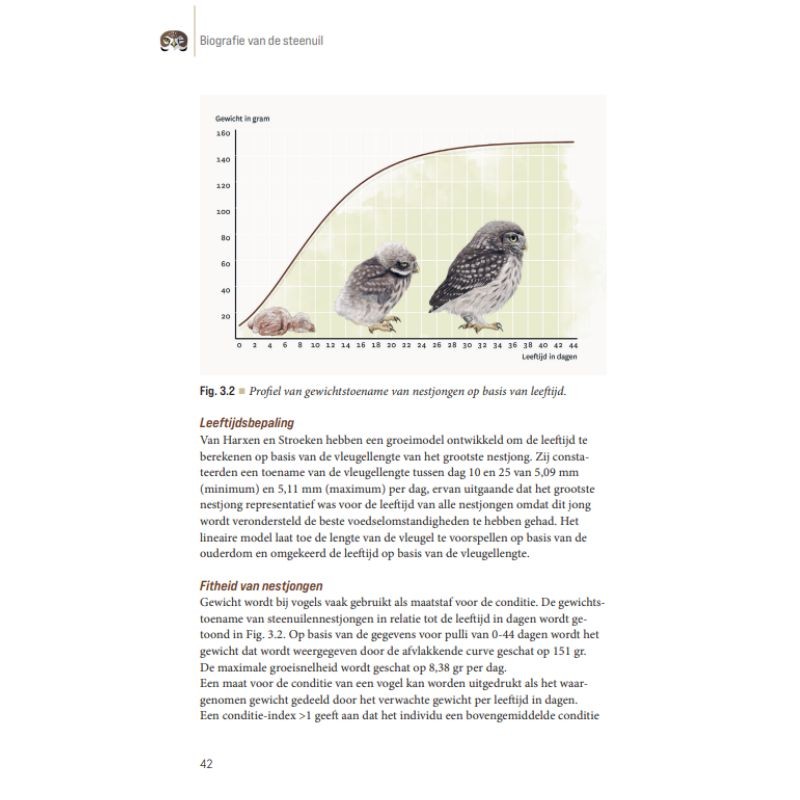 Biografie van de steenuil - Godin van de nacht