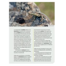 Wandelboek onze natuur - 20 wandelingen door natuurgebieden in de Ardennen en Wallonië