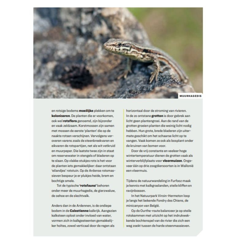 Wandelboek onze natuur - 20 wandelingen door natuurgebieden in de Ardennen en Wallonië